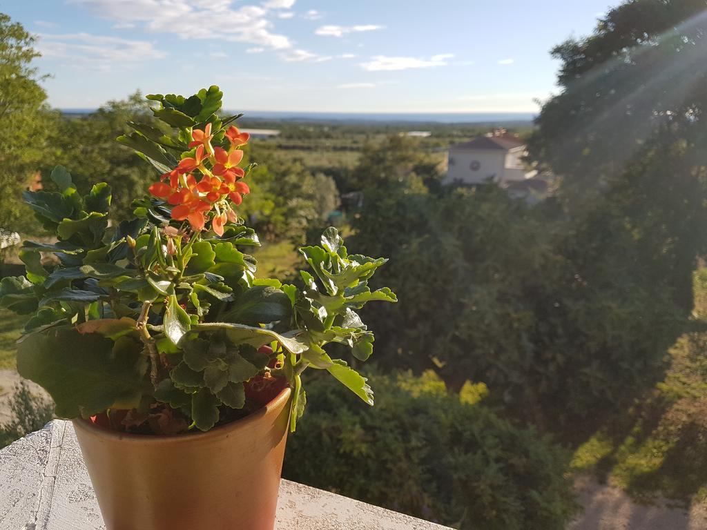 Apartman Andela Labinci Екстериор снимка